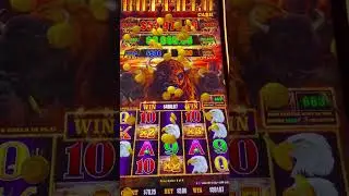 #jamul #casino #buffaloslotmachine #casinogames $5.00 bet #x7 bonus #pays #🙏👍😇❤️