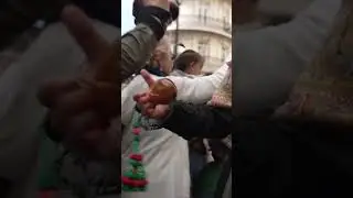 Sheep walk through Madrid for centuries-old migration festival