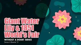 Giant Water Lily & 1851World's Fair