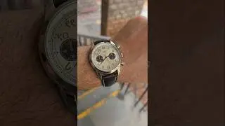 DWC Devnagri Chronograph 39mm | Panda Dial | Wrist Roll #dwc #dwcdevnagri #pandadial #dresswatch