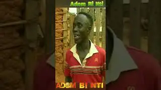 SANTO BLAST NAANA HAYFORD STYLE BIAA BI