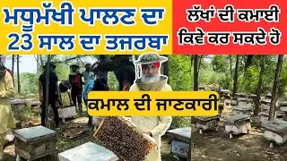 23 ਸਾਲ ਹੋਗੇ Honey Bee Farming ਕਰਦਿਆ How to earn money from beekeeping|Bee Farming Business