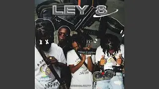 LEY 8