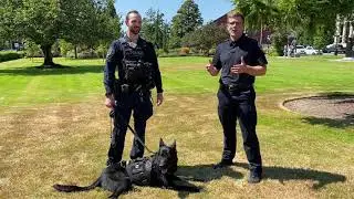 VicPD K9 PSD &ldquo;Jonny&rdquo; Tracks And Arrests Suspect In Mischief