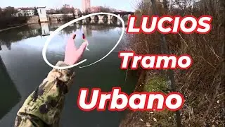 Pescando lucios en el tramo urbano de Valladolid.