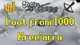Old School RuneScape - Loot from 1000 Kree'arra + Strategies