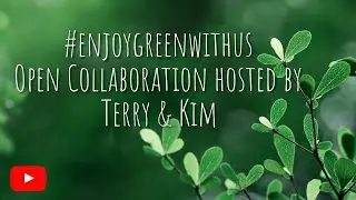 #enjoygreenwithus2026 💚 Putting Away Christmas Trees & Sharing Upcoming Sewing Project