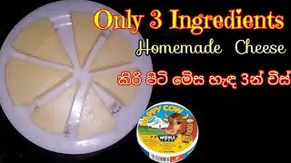 How To Make  Cheese with  4 tbsp of milk  powder || Home Made  Cheese Recipe without  failures