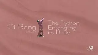 QI GONG SESSIONS: The Python Entangling its Body
