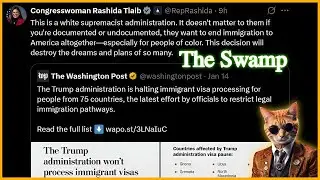 Democrats FREAKING OUT Over Obamacare, Immigration Pauses, and Trump Being Trump
