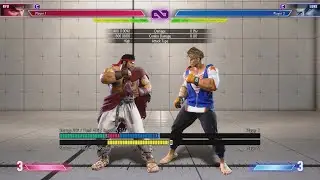 Street Fighter 6 Training Frame Meter