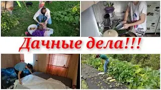 Дачные дела/ моя дача/ мотивация на уборку и готовку/ уборка/ огород