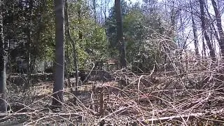Old Mine Ranch stolen goats