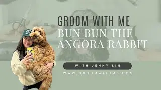 Bun Bun the Angora Rabbit's Visit to Groom With Me | Luxury Pet Groomer in South Shore, MA