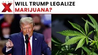 Analysts Say Trump&rsquo;s Cannabis Push Likely Falls Short of Full Legalization