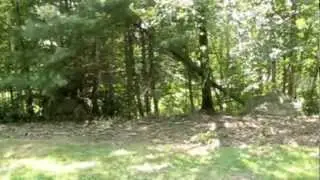 ASV RC30 With Brush Mower www.landmarkmaint.com