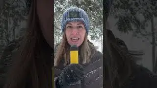 Snowmaggedon 2024! #midwest #minnesota #snow