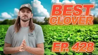 Clover Plot Glitch, What You Need To Know| 100% Wild Podcast Ep. 428
