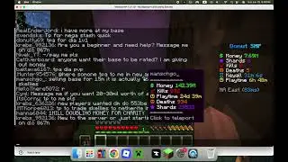 how to make millions on your first day on donut smp!