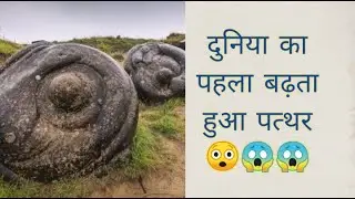 The  one and only growing stone ever seen on earth || its grows in rain ||     😲😲