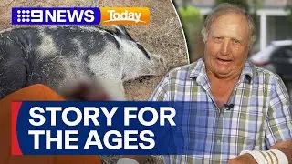 Queensland farmer fights off wild boar in real-life 'Razorback' | 9 News Australia