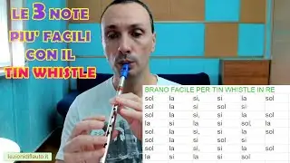 Le tue prime note con il tin whistle