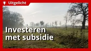 Uitgelicht | Duurzaam investeren met hulp van subsidie