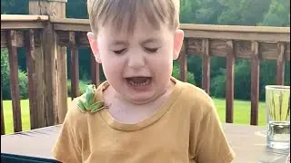 Tree Frog jumps on Danny