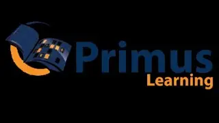 Navigating the complex IT world: Prospects and challenges with Primus Vekuh