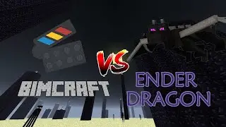 BiMcraft vs. Ender Dragon Fight LIVE!