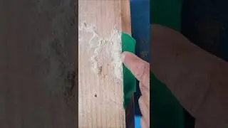 Wood damage repair hacks  no one tells you about #INGU #DIY #way #shorts