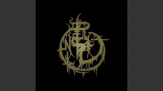 Entity 6