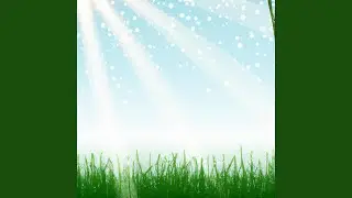 Serene Spring Meadow Relaxing Botanical Garden Ambiance