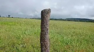 qual a profundidade do buraco da estaca e a altura da estaca para criação de gado