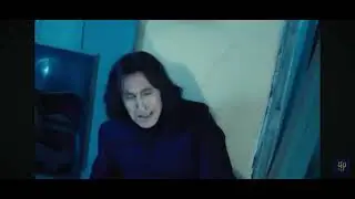 The real story behind Snape, the most misunderstood character.#harrypotter ,#hogwarts 