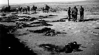 Battle of Annual | Wikipedia audio article
