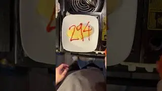 Day 294