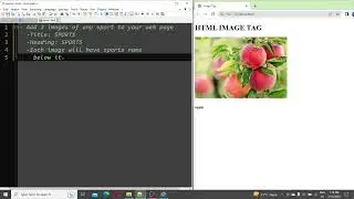 Assignment image tag | HTML | CSS | practice