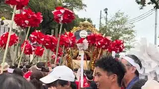 播州秋祭り荒川神社小芋祭り！2025.10.19本宮！岡田⇒宮入！からの岡田＆玉手