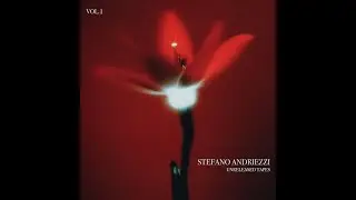 Stefano Andriezz -- Hybrid