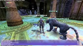 FFXI ToAU 45 Ragnarok - fight