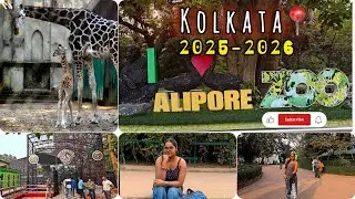 Alipore Zoo Kolkata ॥ কলকাতা চিড়িয়াখানা ভ্রমণ ॥ #aliporezoo #travelvlog #kolkata 