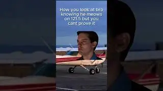 you know your pilot friend meows on the emergency freq