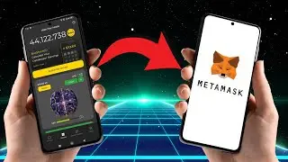 🚀 How to Import Your DeNet Watcher Node Wallet into MetaMask in 2 Minutes ⏳