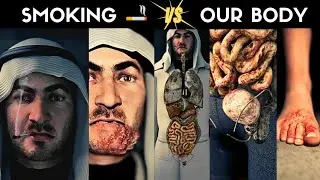 How does SMOKING 🚬 damage our BODY ORGANS ? Animated Video