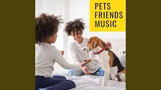 Chill Pets