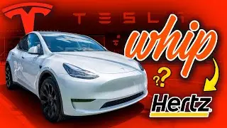 Аренда Tesla для Uber: почему я бы выбрал DriveWhip вместо Hertz #майами #uber #uberdriver