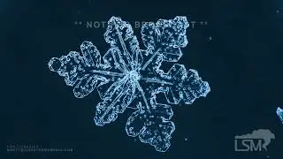 01-31-2026 Rapid City, SD - Arctic Air Brings Beautiful Ice Crystals