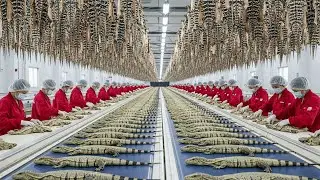 Inside the Monitor-Lizard Leather Factory: How High-Quality Strings Are Made (Full Process)