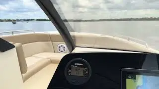 2023 SCOUT DORADO 215